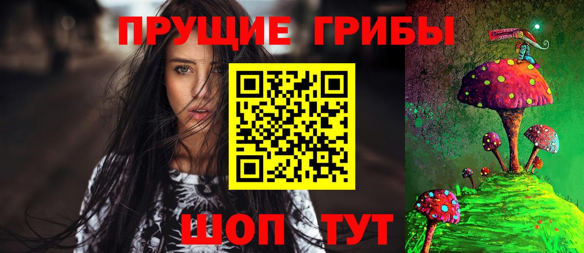 Анжеро-Судженск  Псилоцибиновые грибы прущие грибы  Вход с VPN 