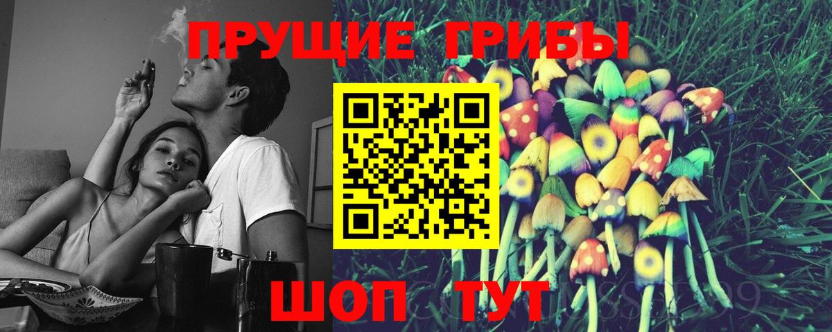Галлюциногенные грибы прущие грибы Анжеро-Судженск